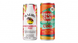 Pernod Ricard Deutschland launcht zwei neue Ready-To-Drink-Varianten -